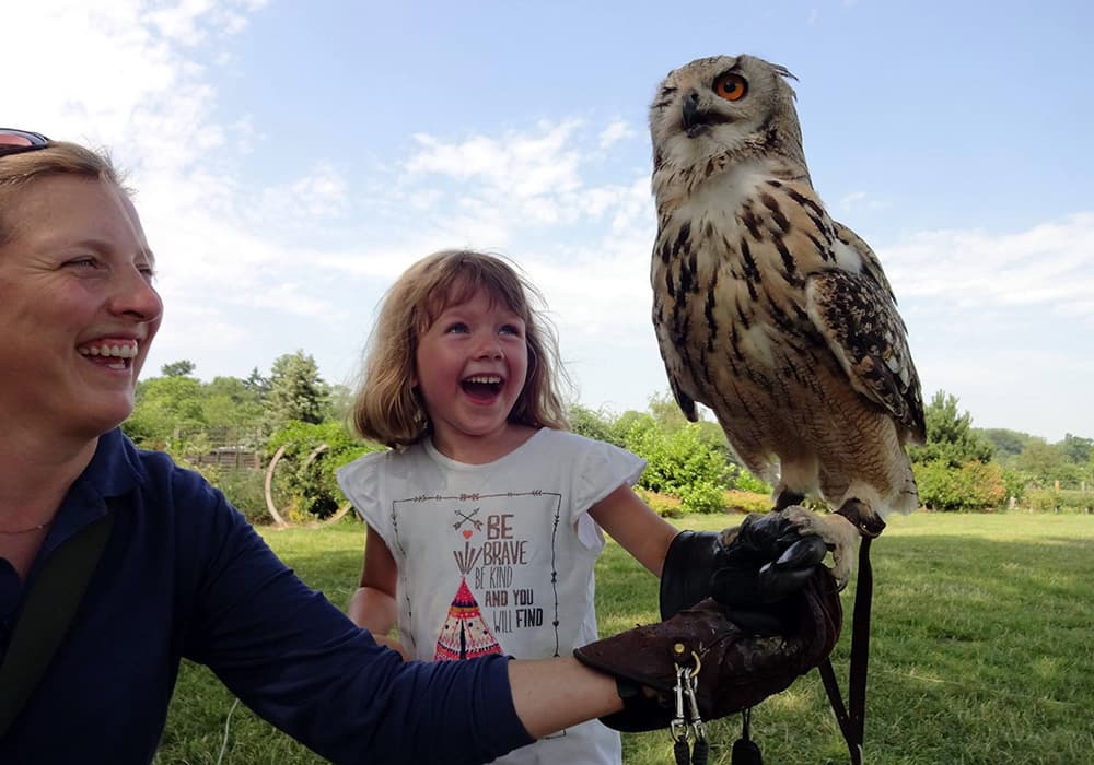 Educational Owl Hour