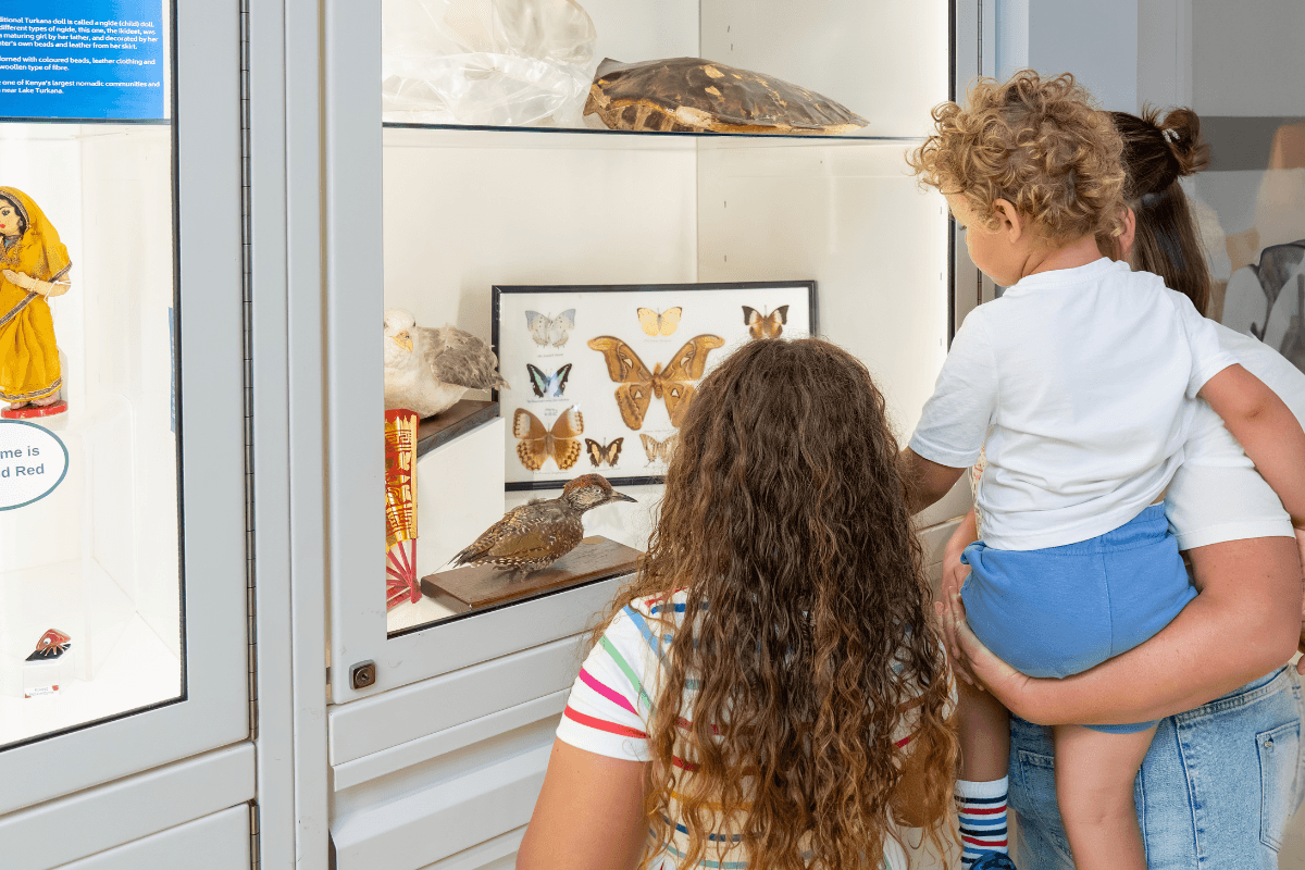 Home Education Day: Nocturnal