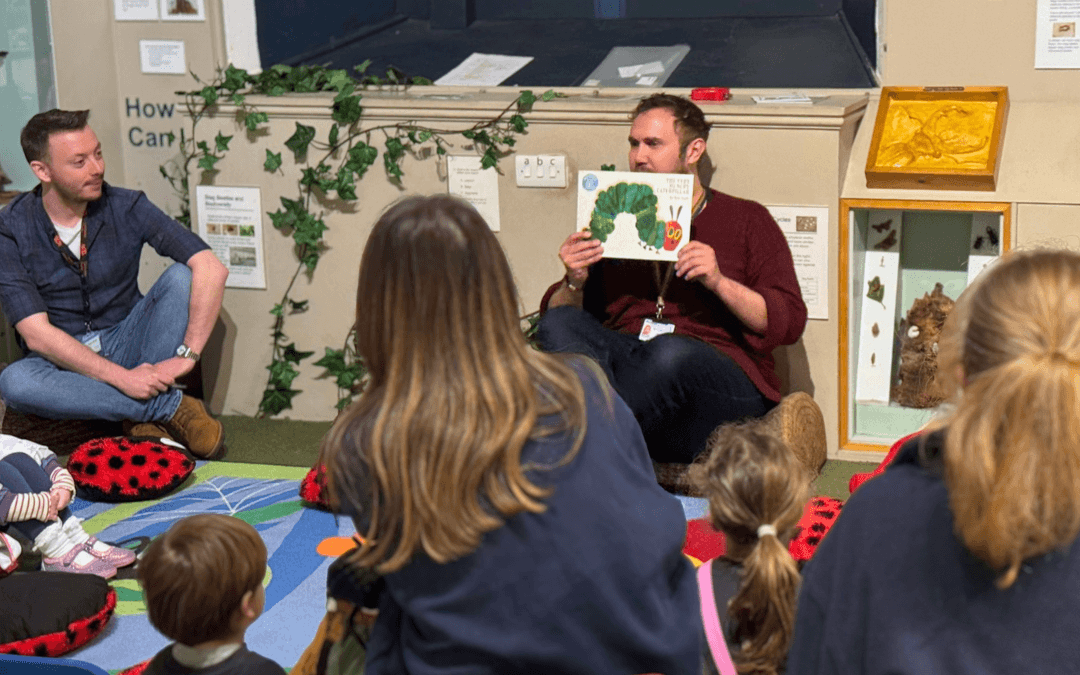 Mini Museum Explorers: Hibernation