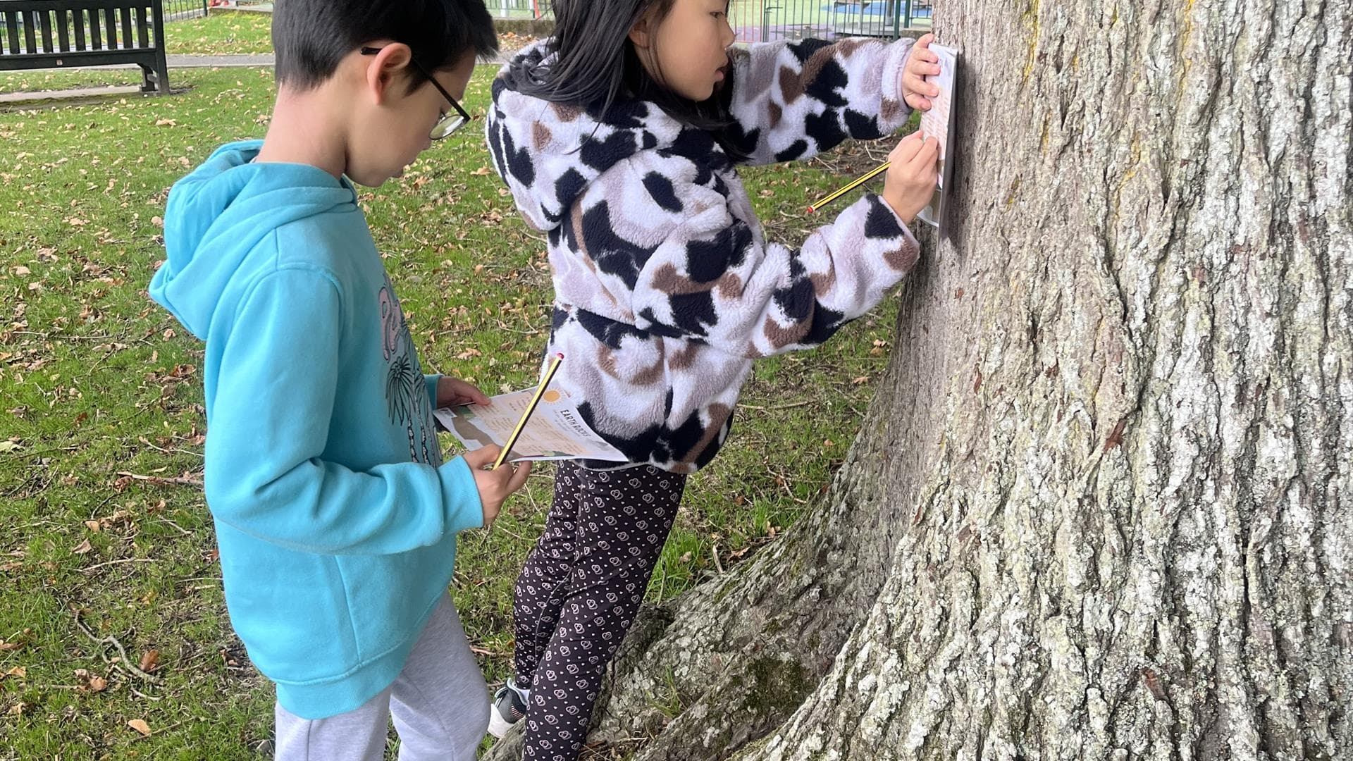 The Big Bird Treasure Hunt, Castlewellan Forest Park