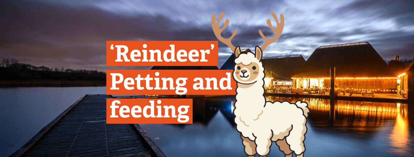'Reindeer' Petting and Feeding at Brockholes