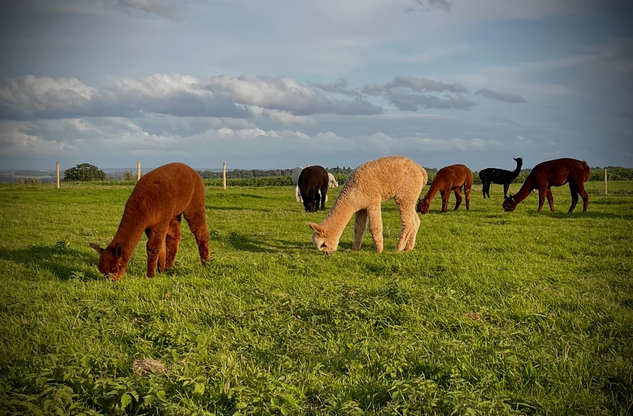 Springtime Fun on the Farm 2027