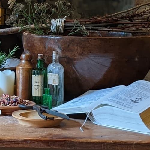 Georgian's Marvellous Medicines at Judges' Lodgings