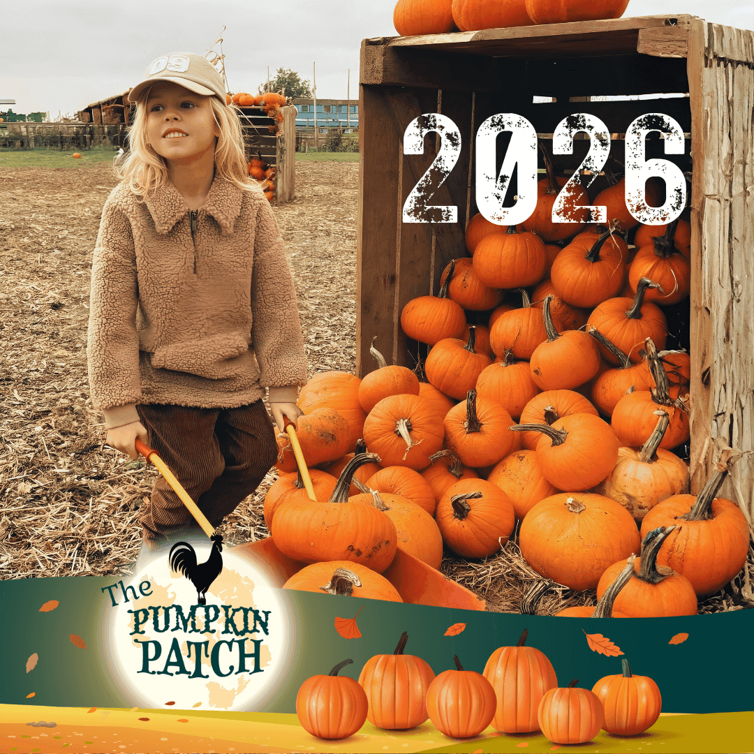 The Pumpkin Patch