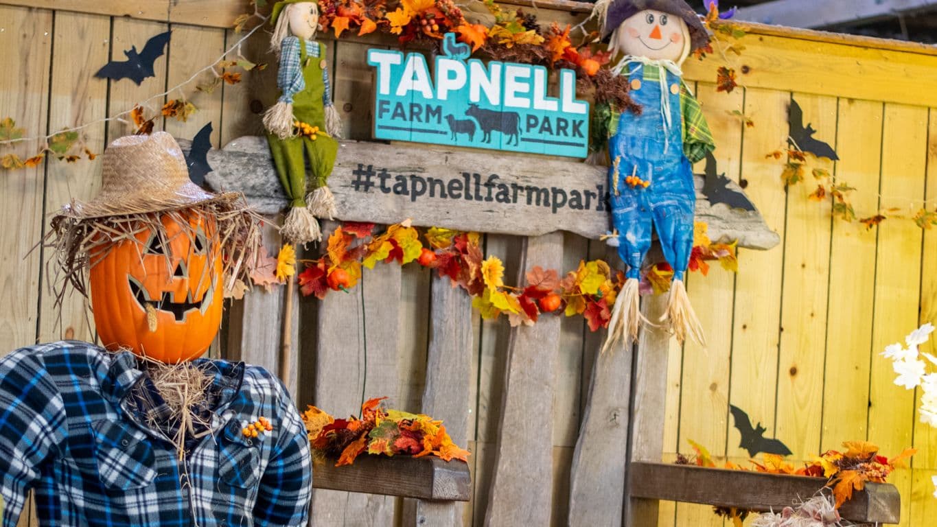 October Half Term at Tapnell Farm Park