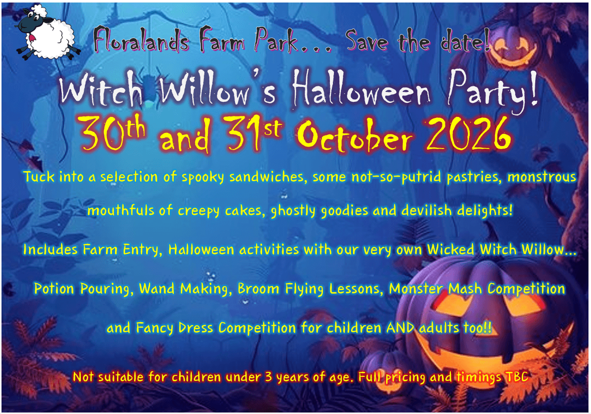Witch Willow's Halloween Party