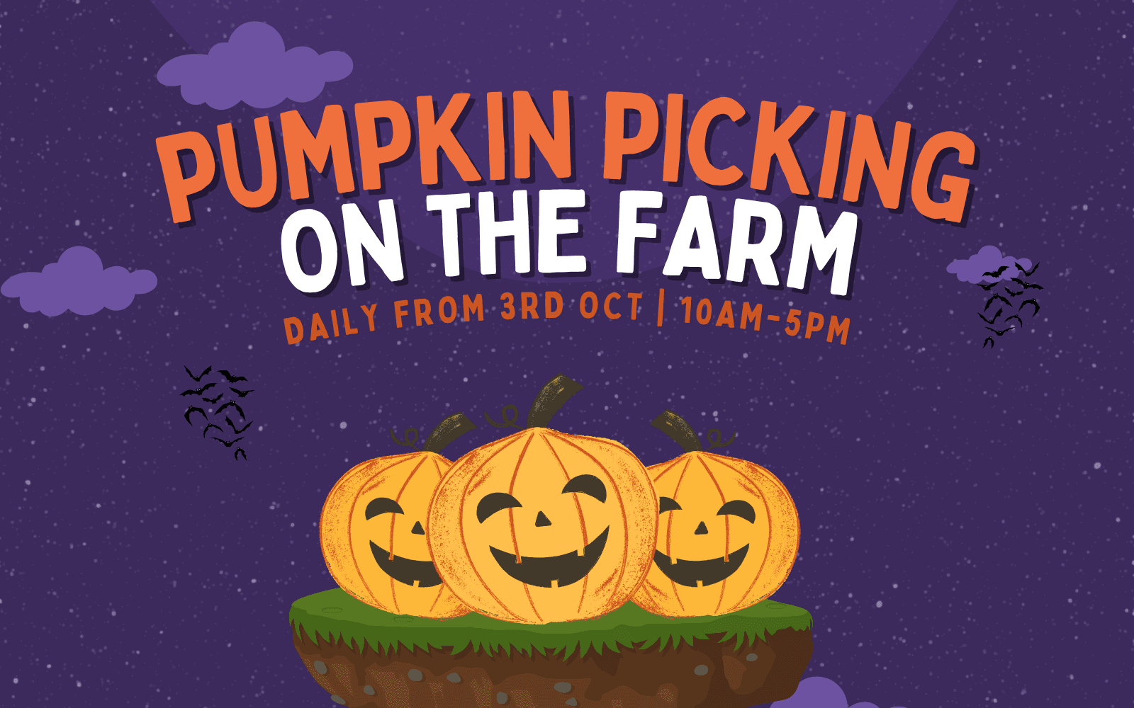 Pumpkin Picking on the Farm
