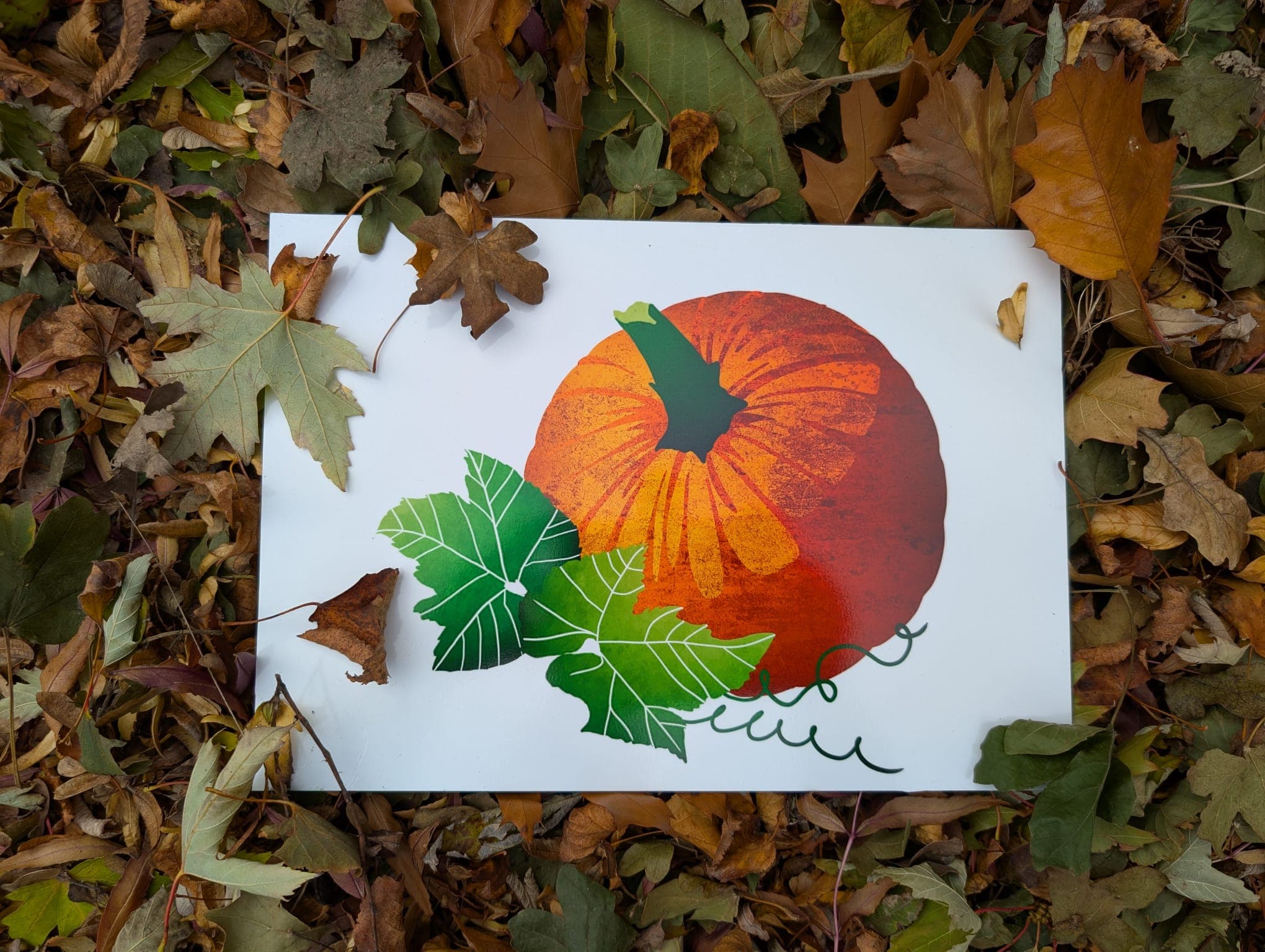 Autumn Trail