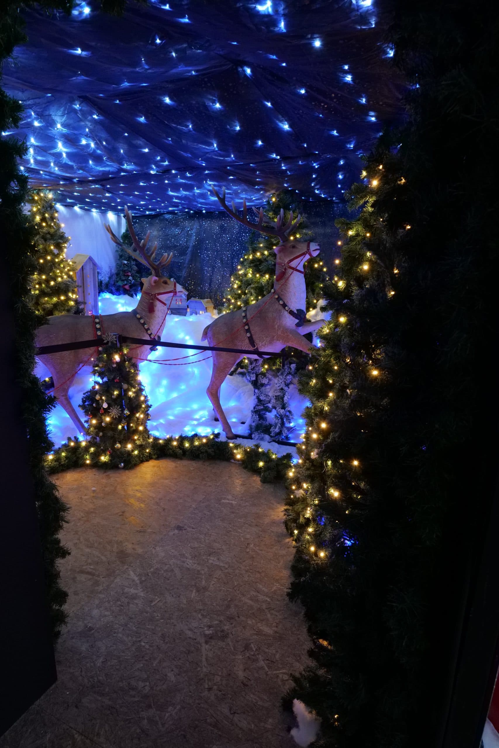 SEND Sessions: Father Christmas at Lappa Valley