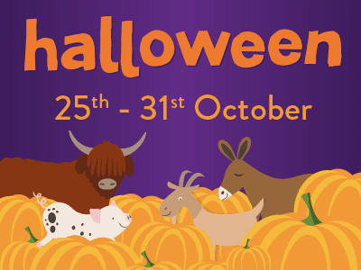 Halloween at Easton Farm Park