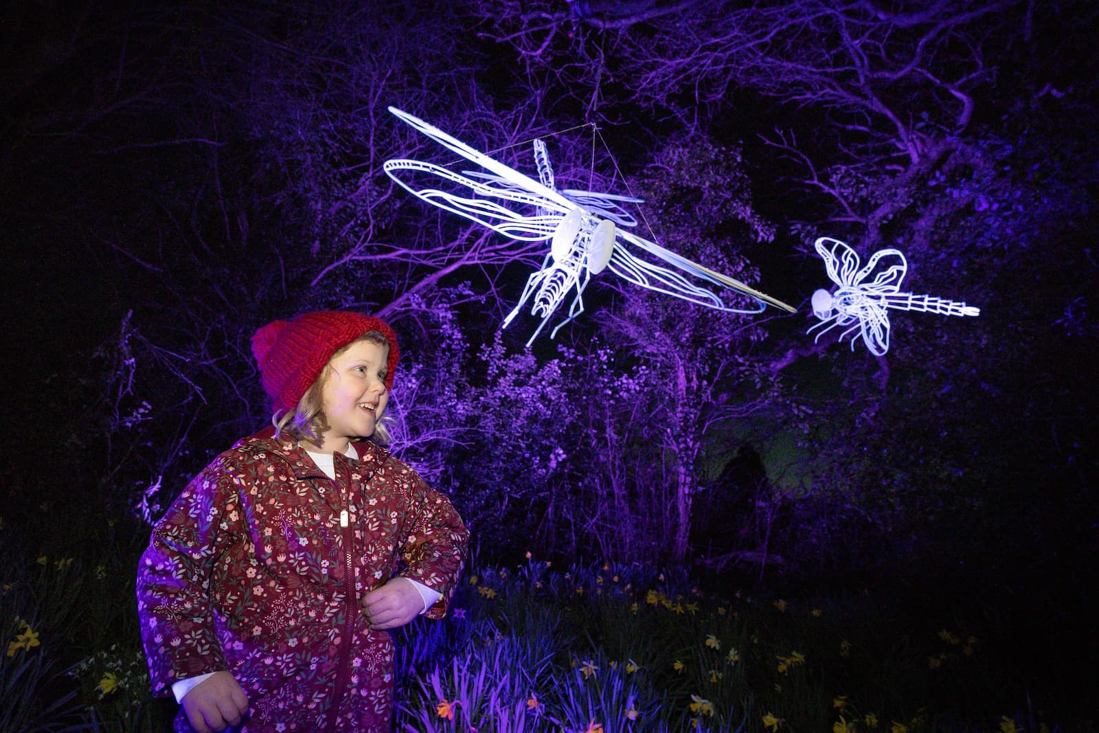 Wild Lights at Bristol Zoo Project