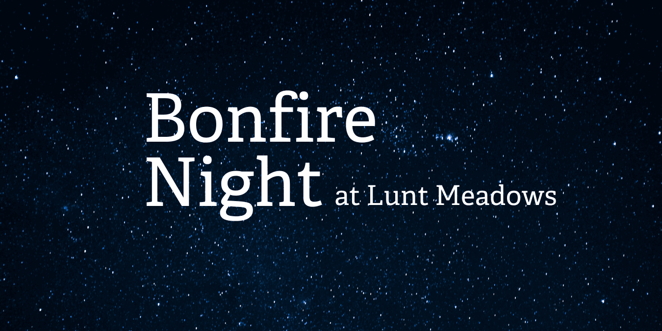 Wildlife Friendly Bonfire Night at Lunt Meadows