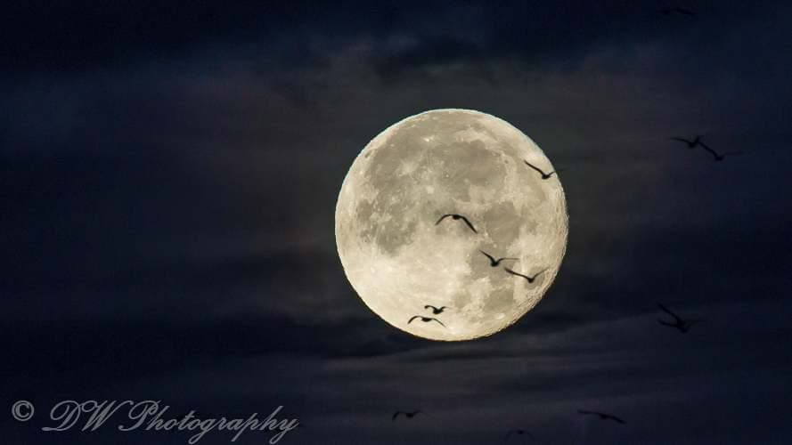 Abberton Stargazing