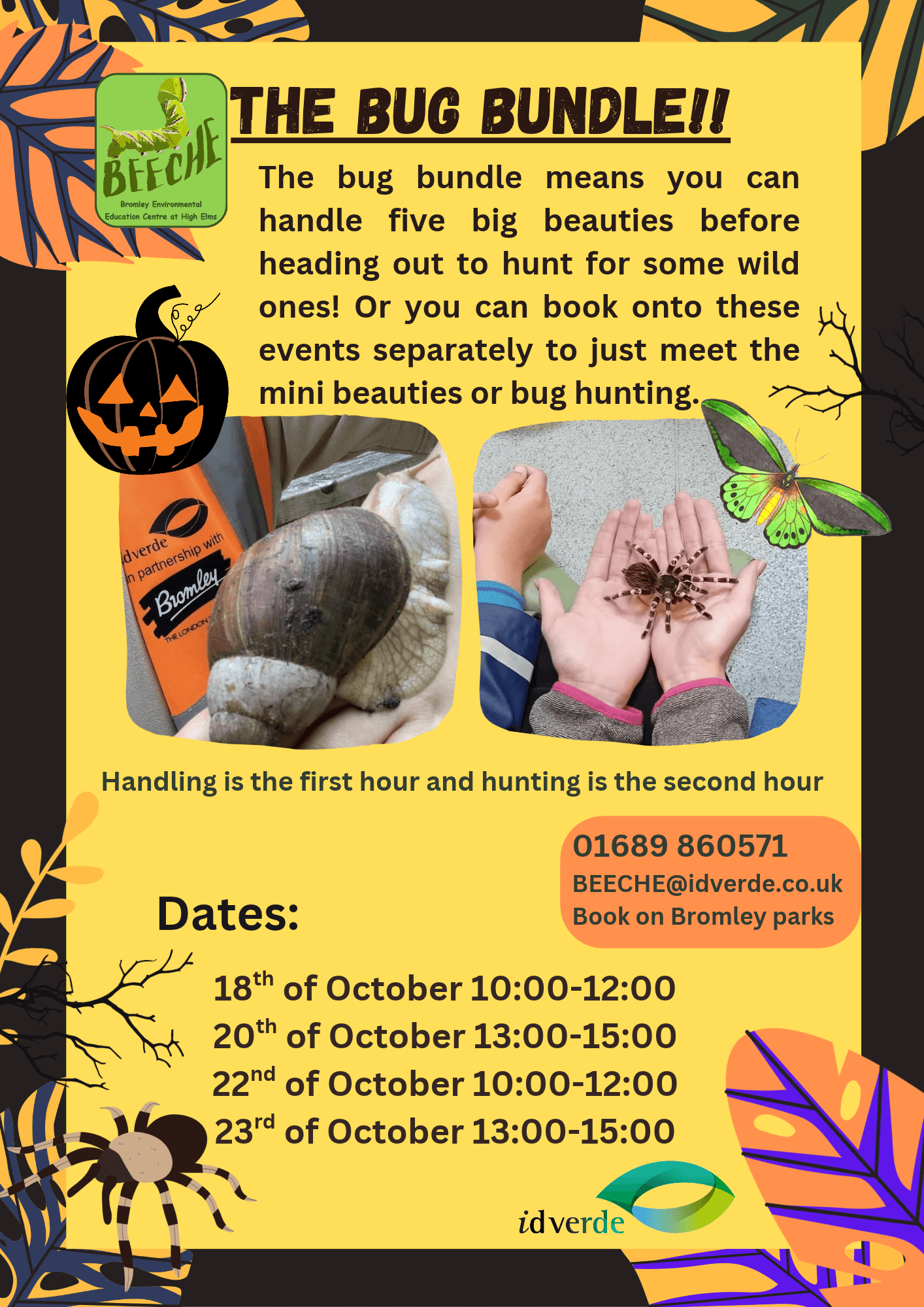 Bug Handling & Bug Hunting