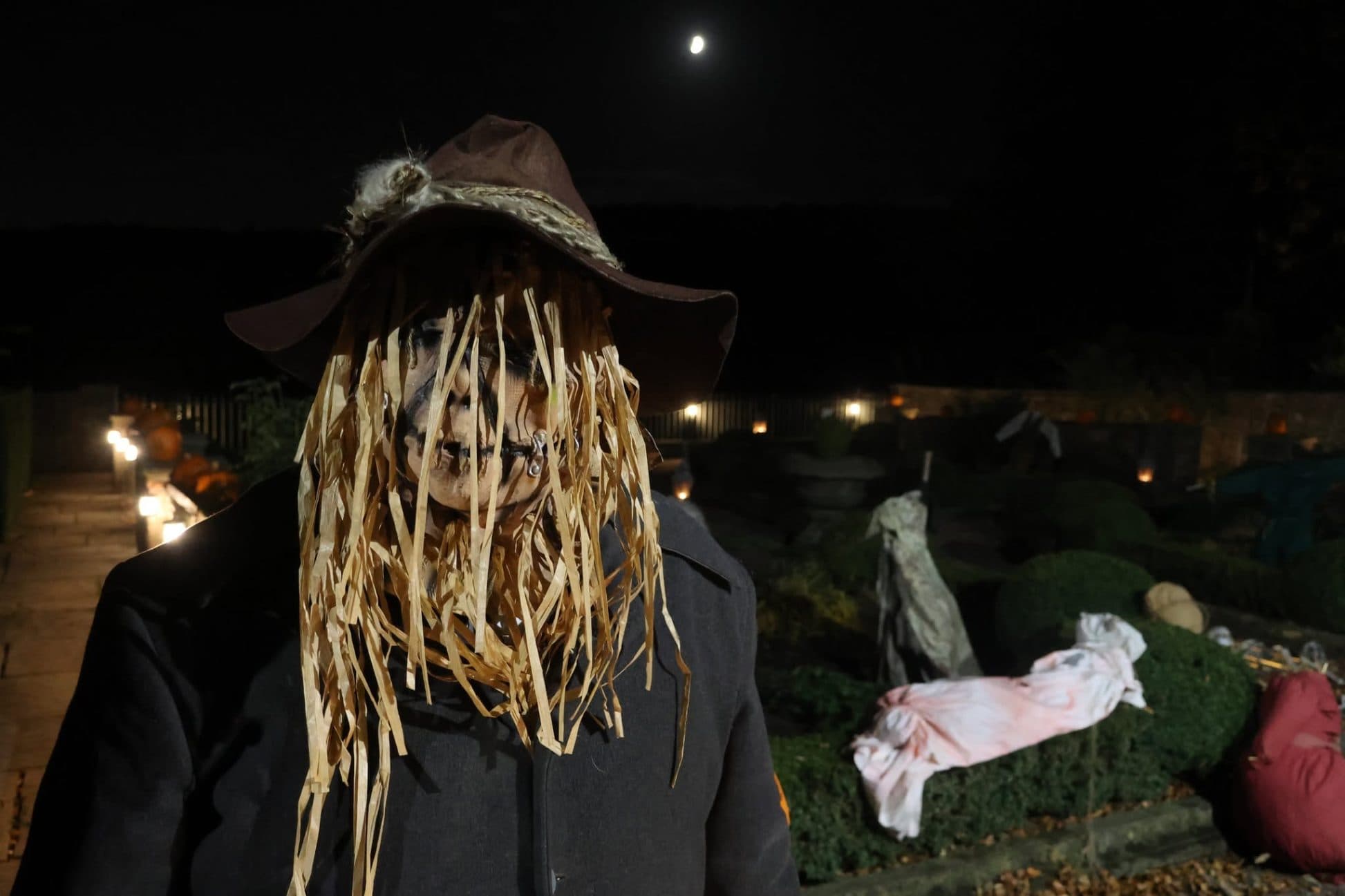 Halloween Evening