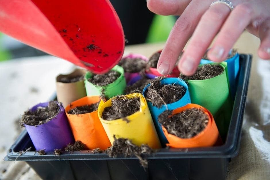 KS1 Science Home Education Session (5–7 years) at RHS Hyde Hall