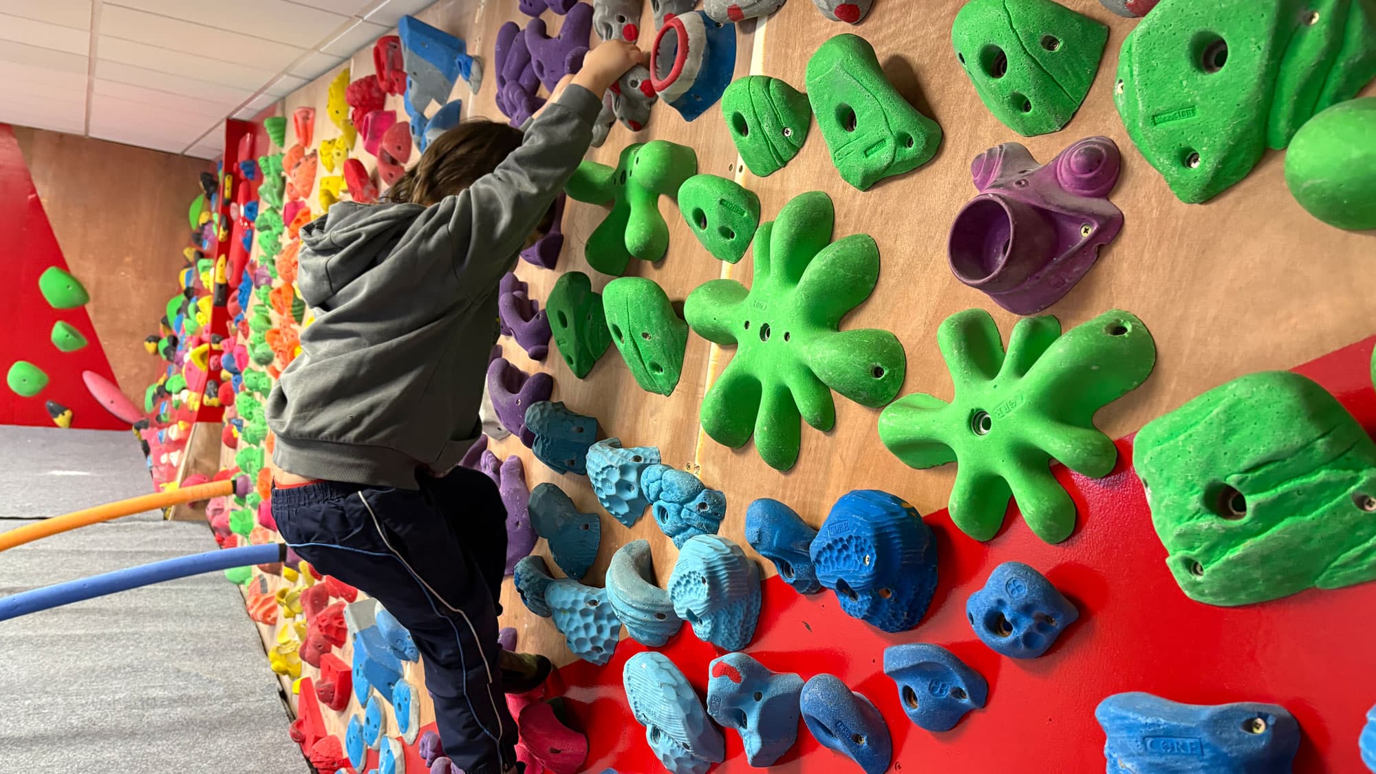 Wild Climbers