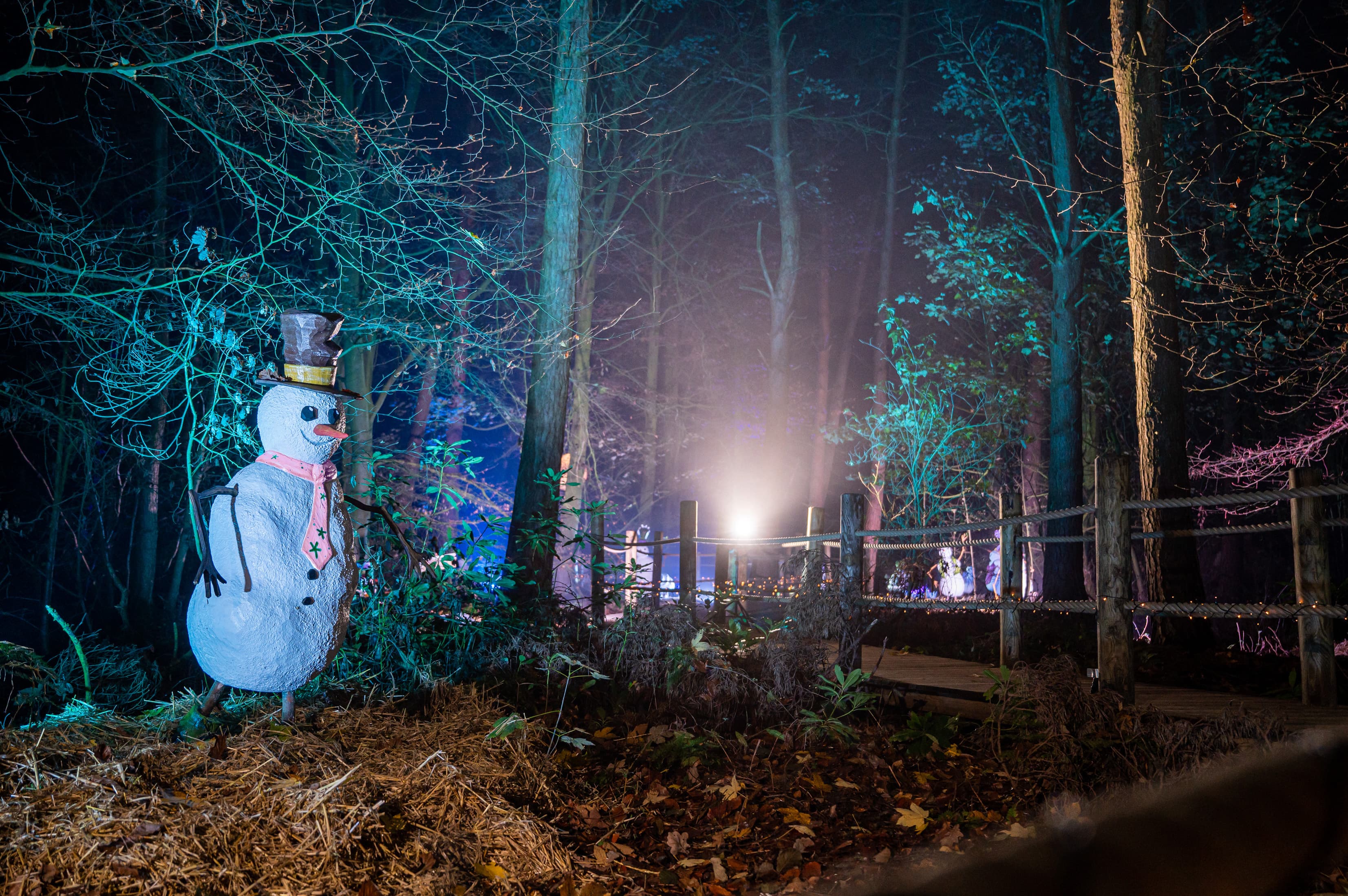BeWILDerwood Presents Christmas