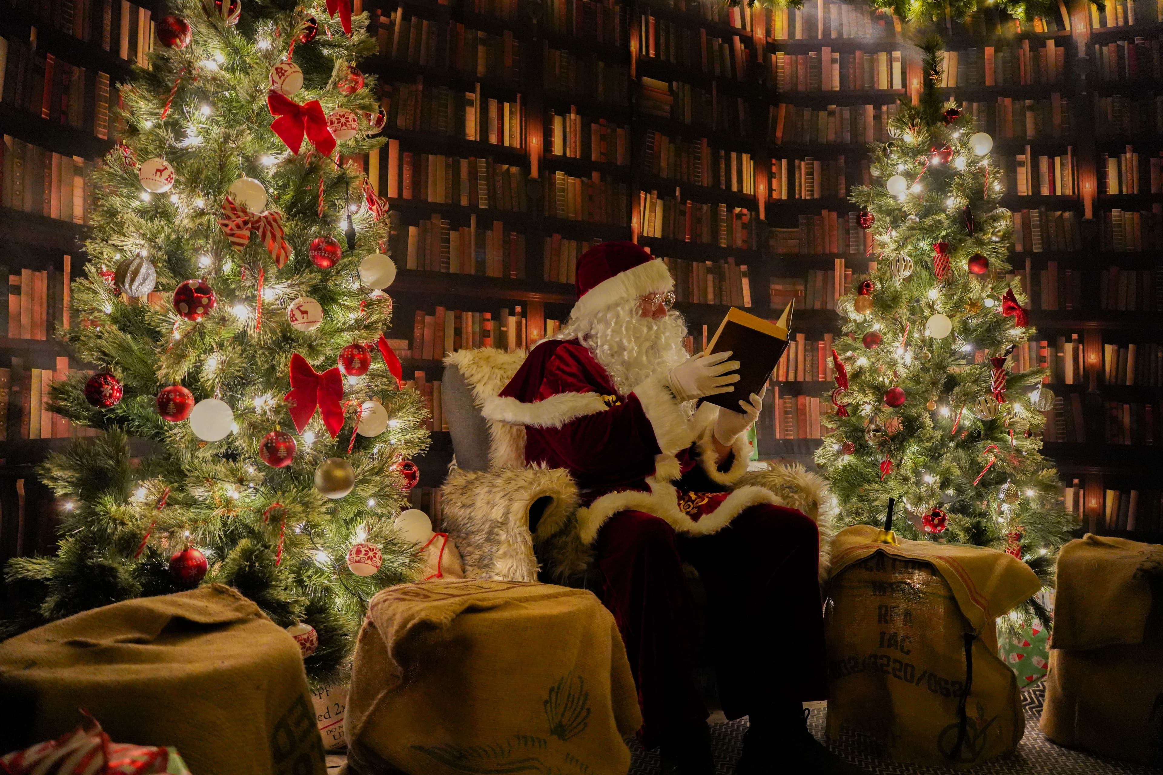 Meet Santa at Noah's Ark Zoo Farm