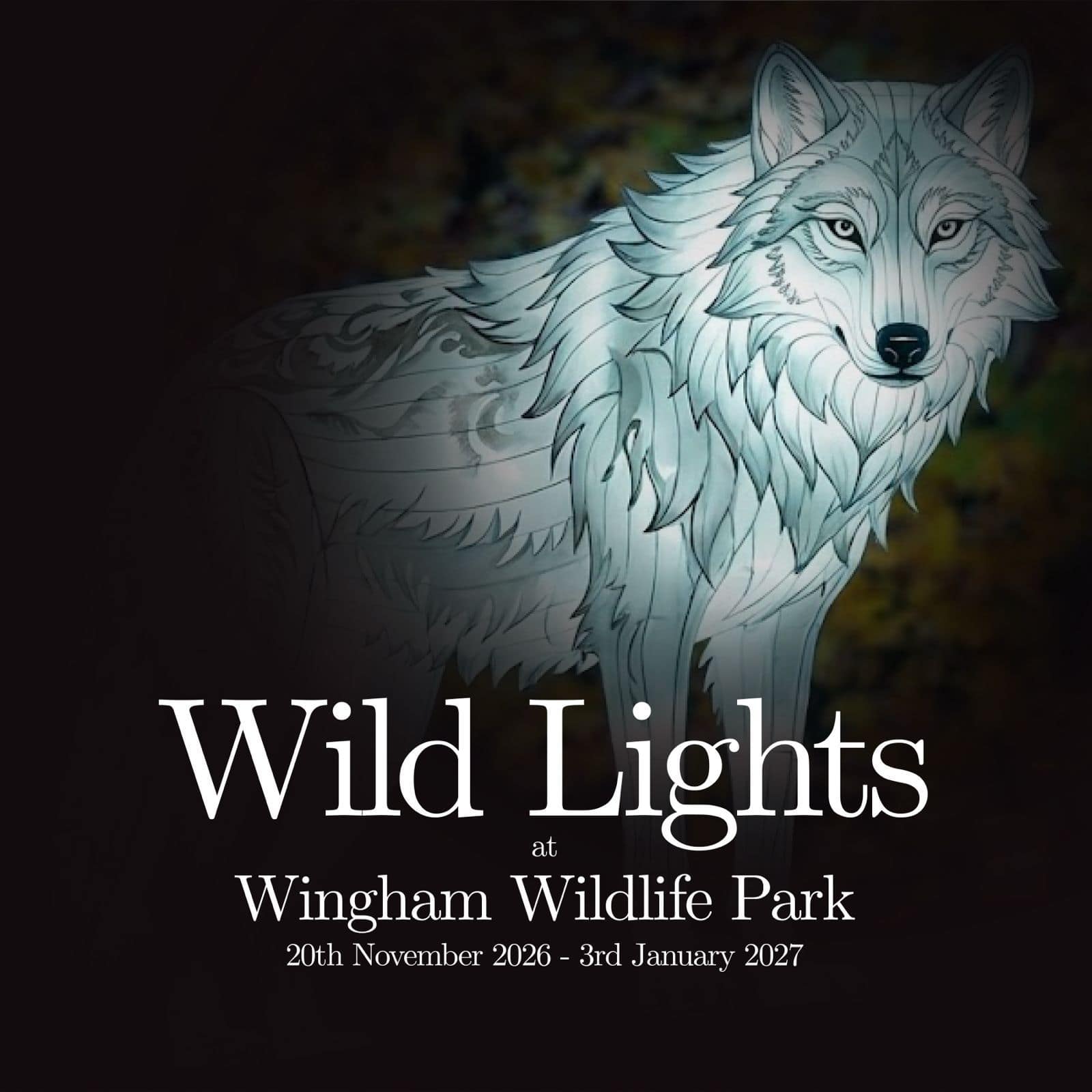 Wild Lights at Wingham Wildlife Park