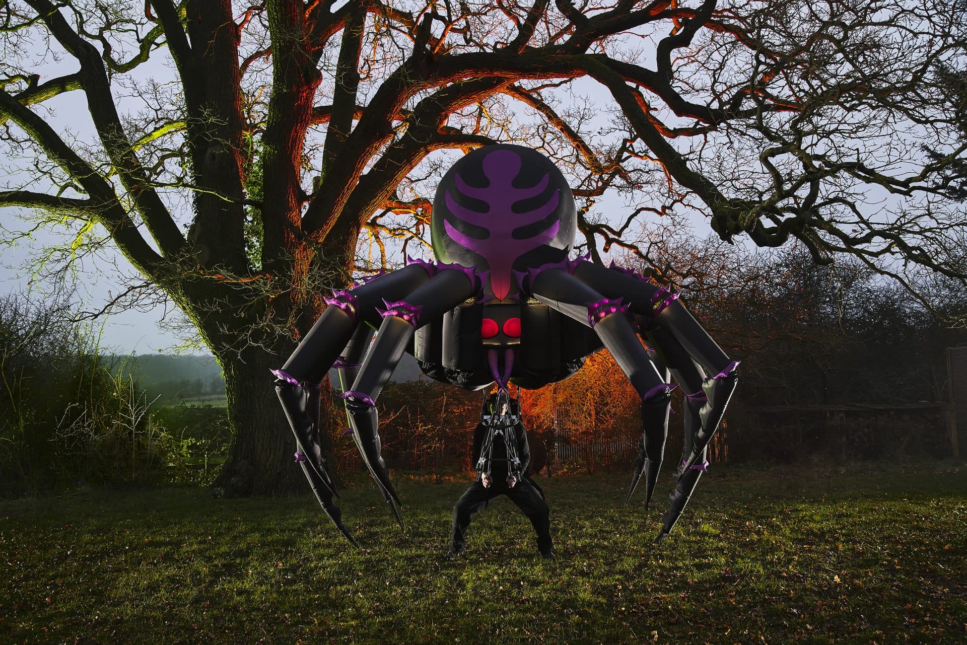 Arachnobot by Tim Davis