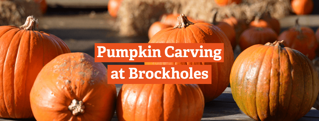 Pumpkin Carving at Brockholes