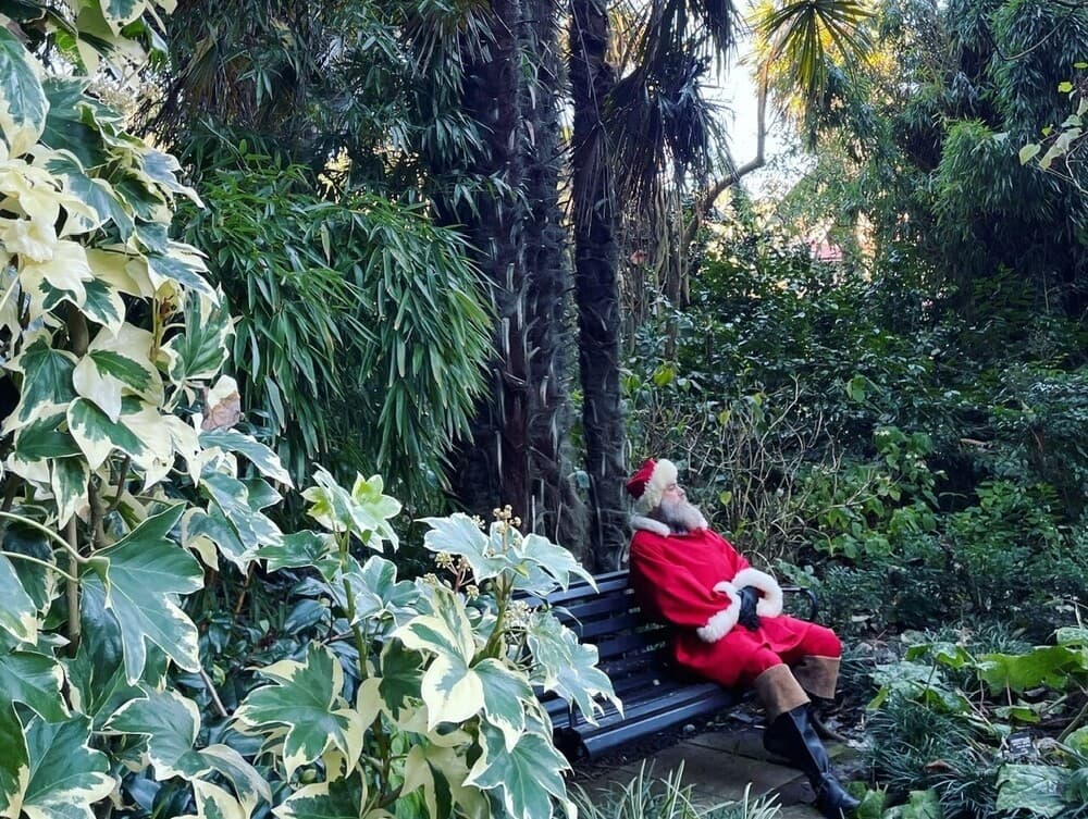 Santa's Grotto - Daytime at Abbotsbury Subtropical Gardens