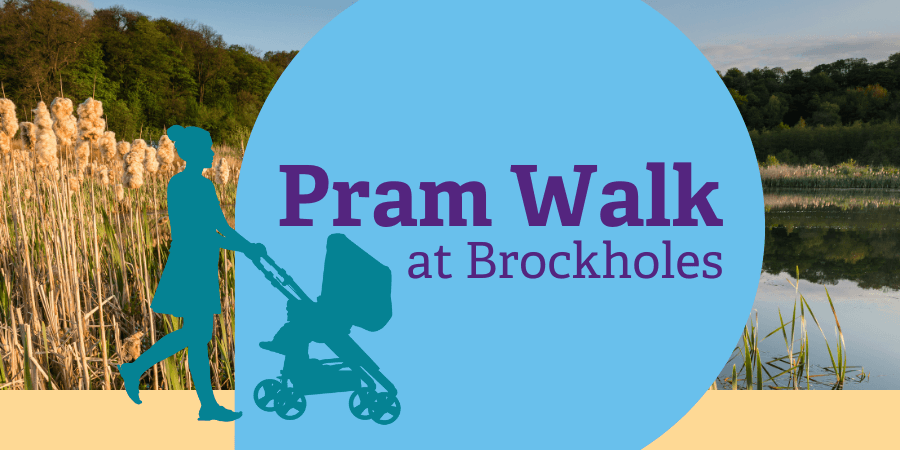Brockholes Pram Walk