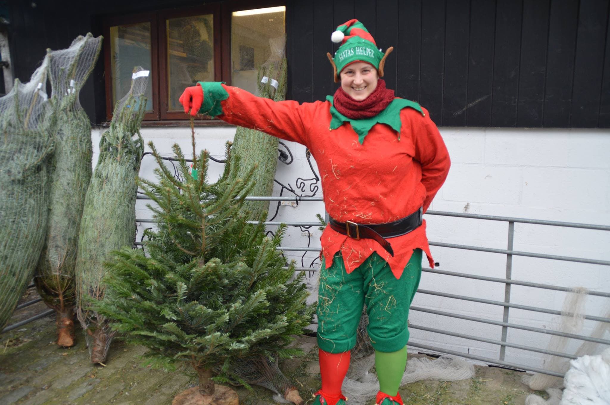 Christmas Fair
