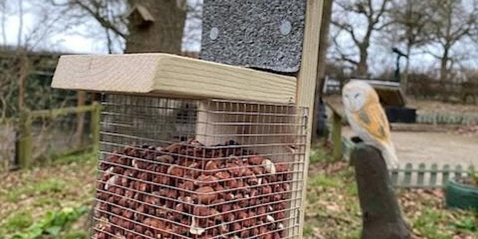 Peanut Bird Feeders at Ryton Pools Country Park