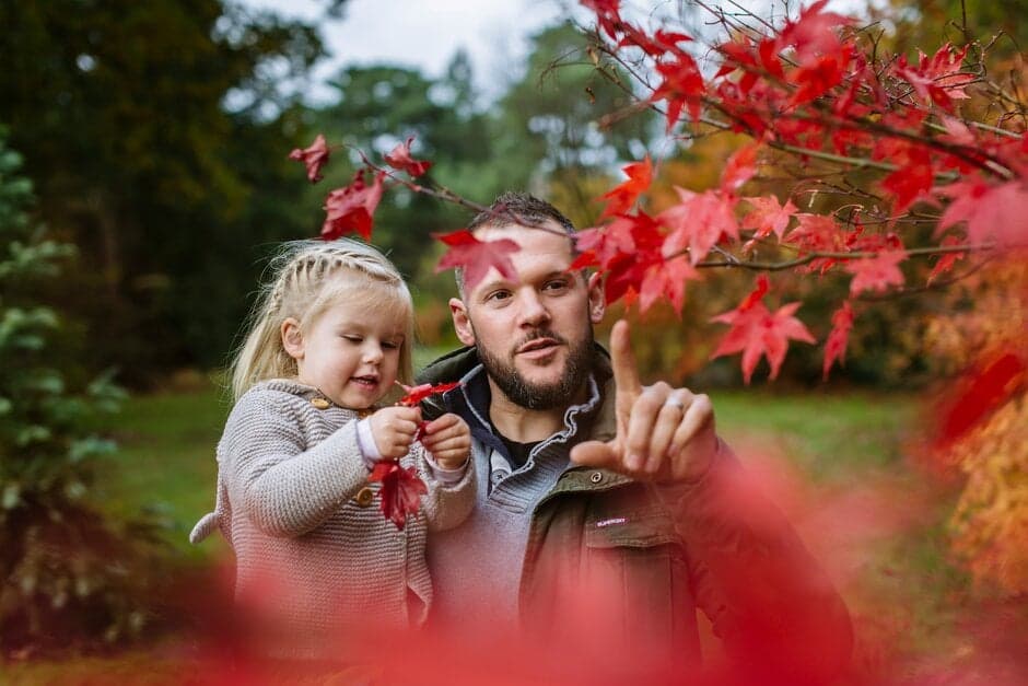 Potion plants and spooky secrets at RHS Wisley