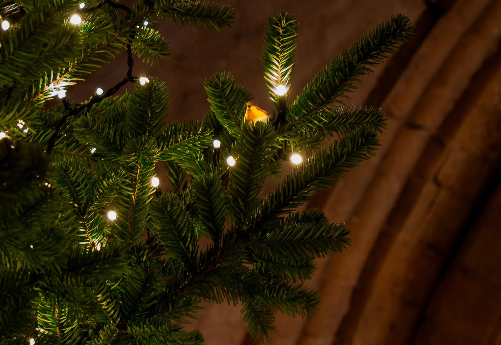 Christmas Tree Festival 2026 at Durham Cathedral