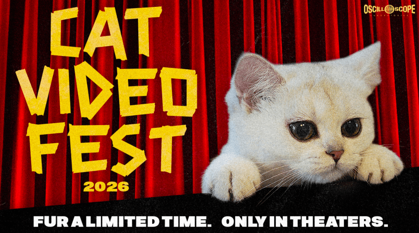 CatVideoFest 2026