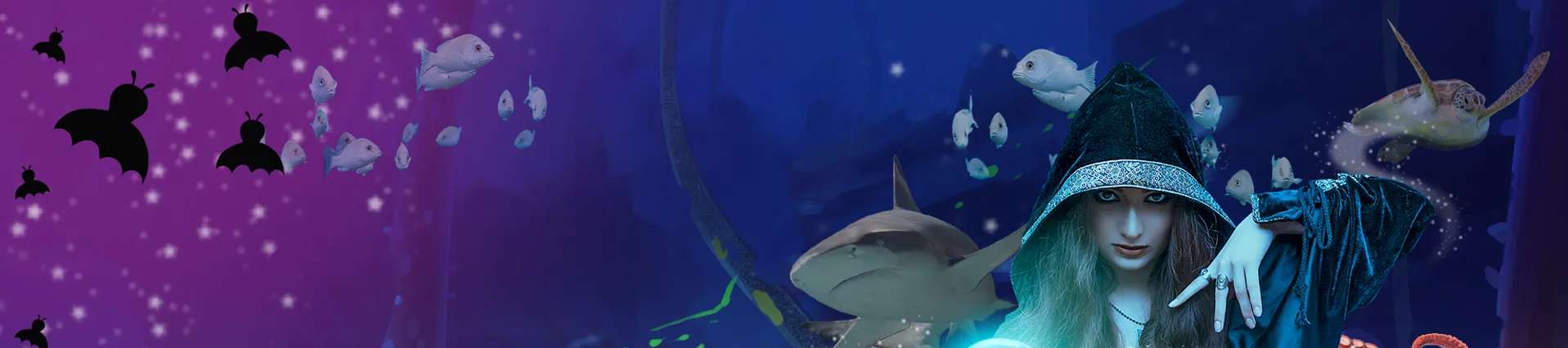 Ascarium: Tricks & Treats at SEA LIFE Loch Lomond