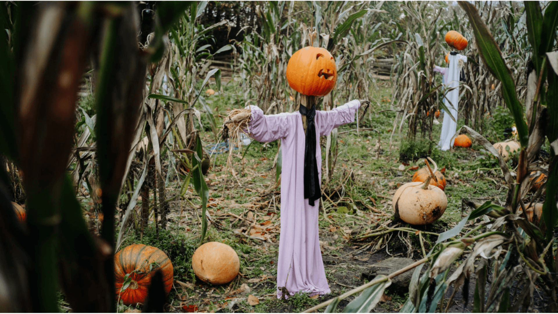 Hallowe’en at the Folk Park