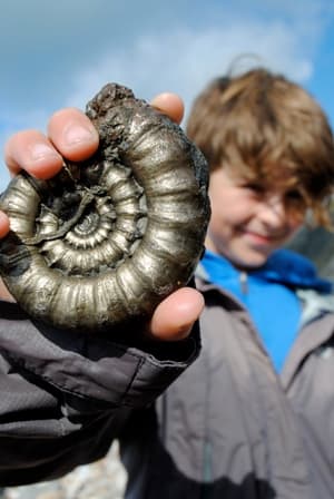 Public Fossil Hunting Walk