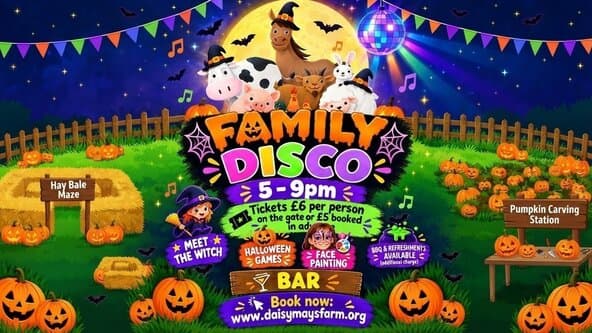 Halloween Kids Disco at Daisy May's Farm