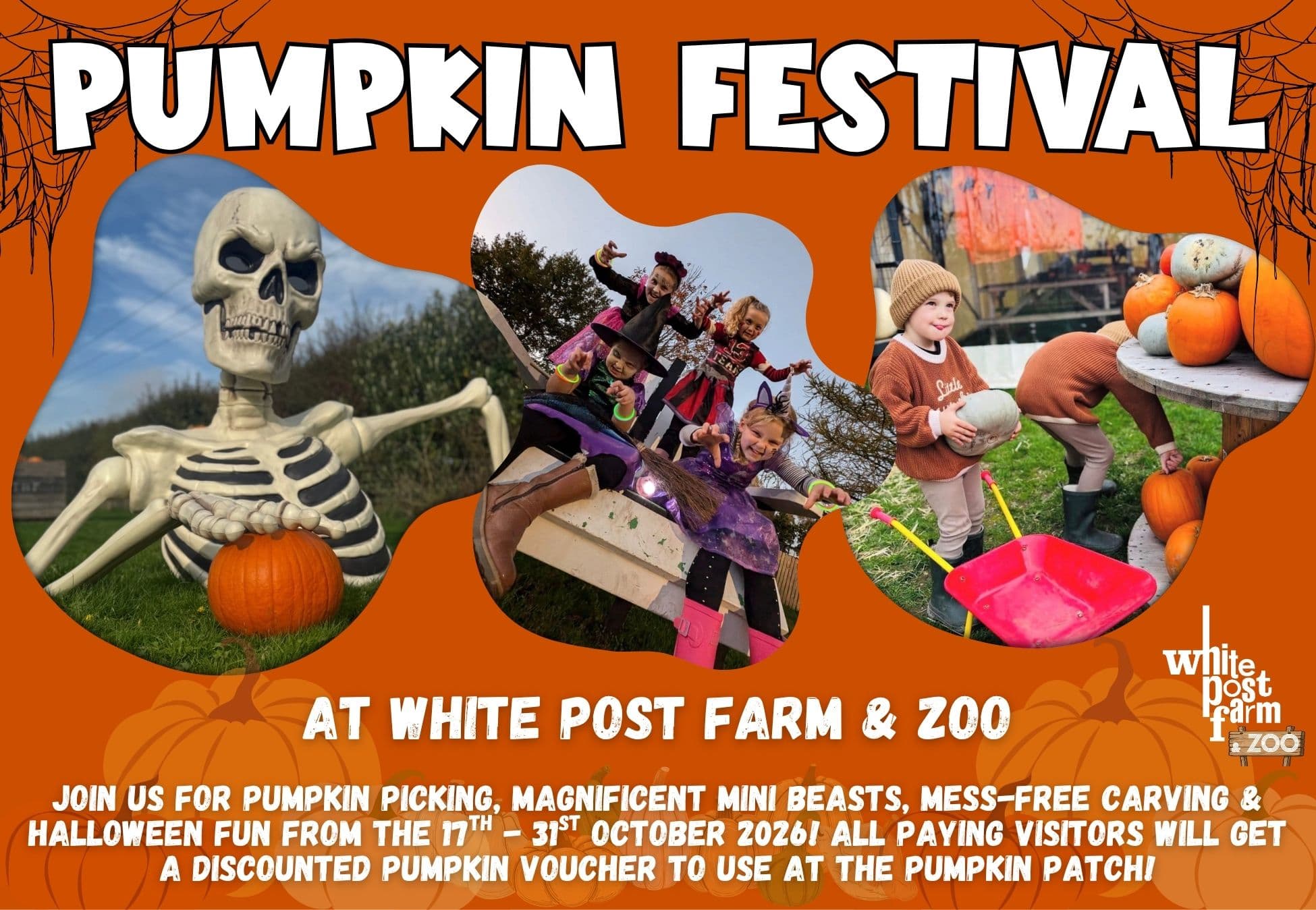 SEN Friendly Pumpkin Patch Session at White Post Farm & Zoo