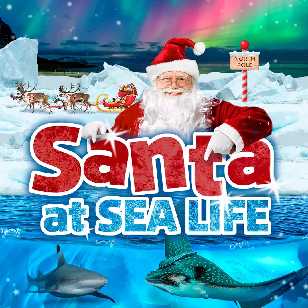 Meet Santa at SEA LIFE Blackpool