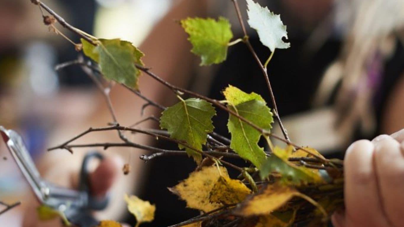 Autumn Leaf Luminaries