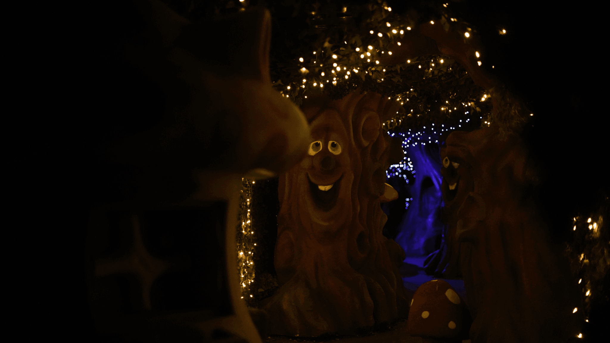 The Magical Christmas Adventure