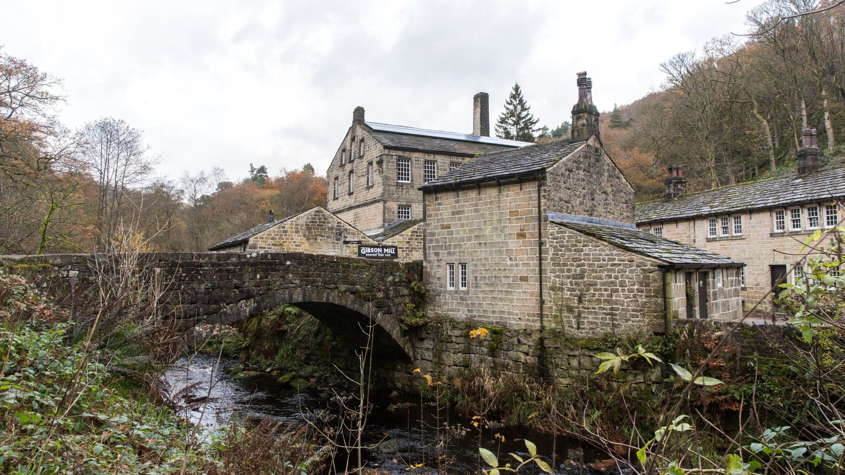 Live Wild: Foraging taster sessions