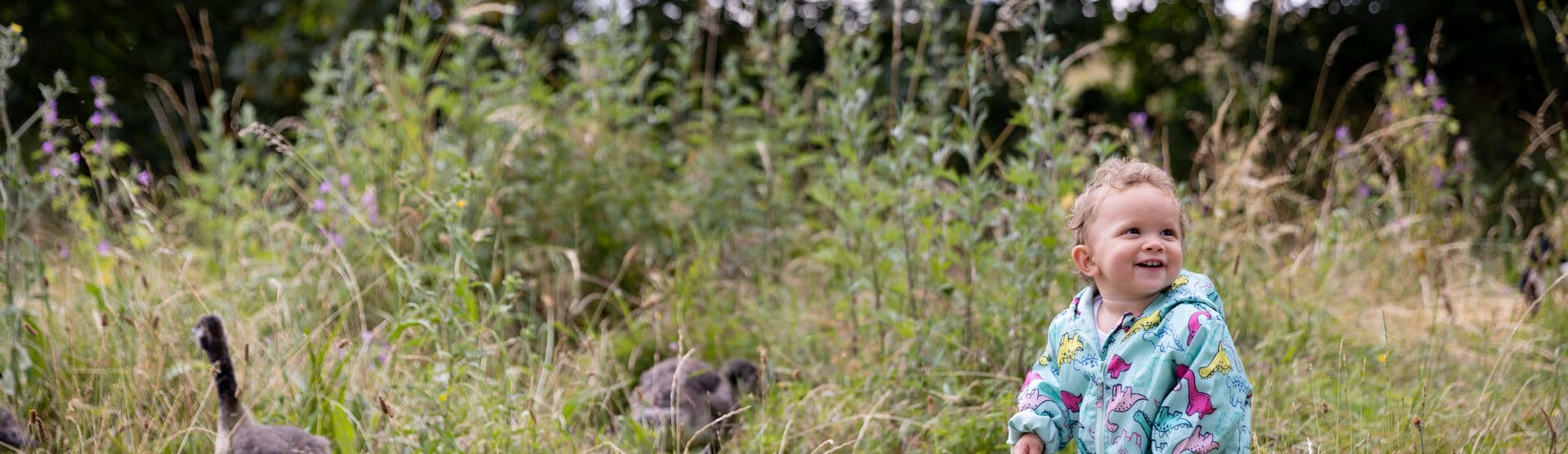 Wonderful Wildlife Weekends at Walthamstow Wetlands