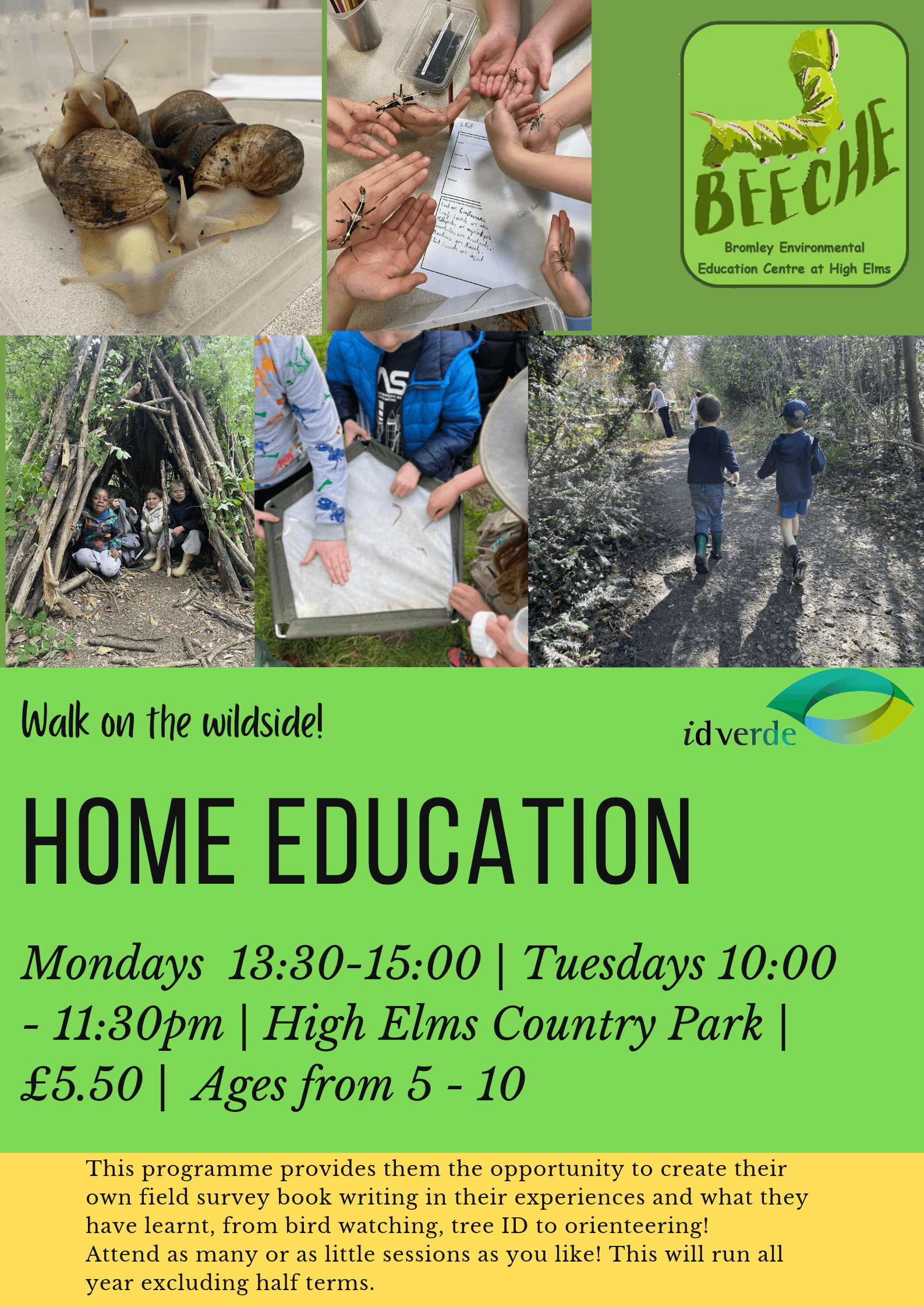 Home Education Group