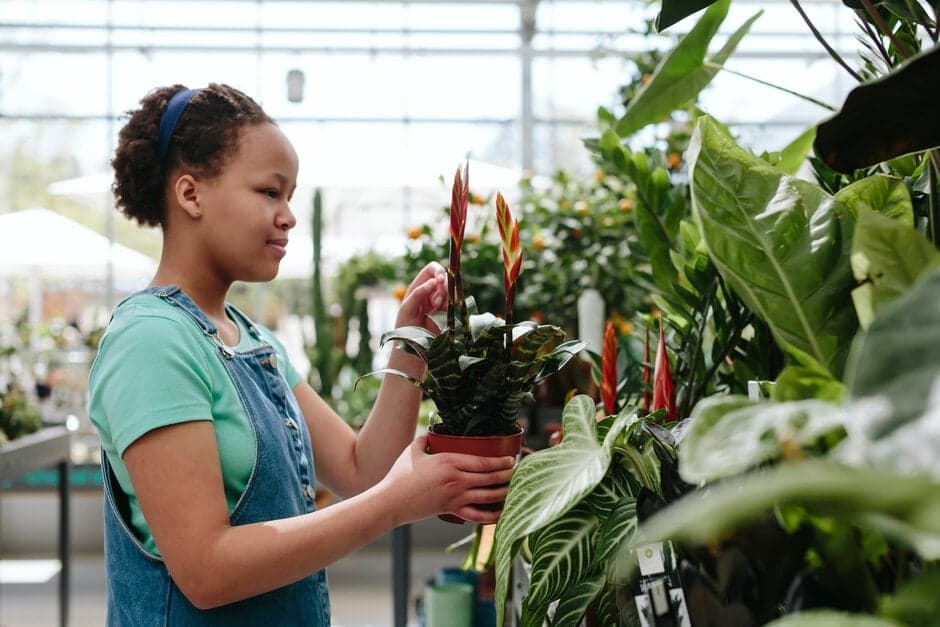 Home Education Open Day at RHS Wisley