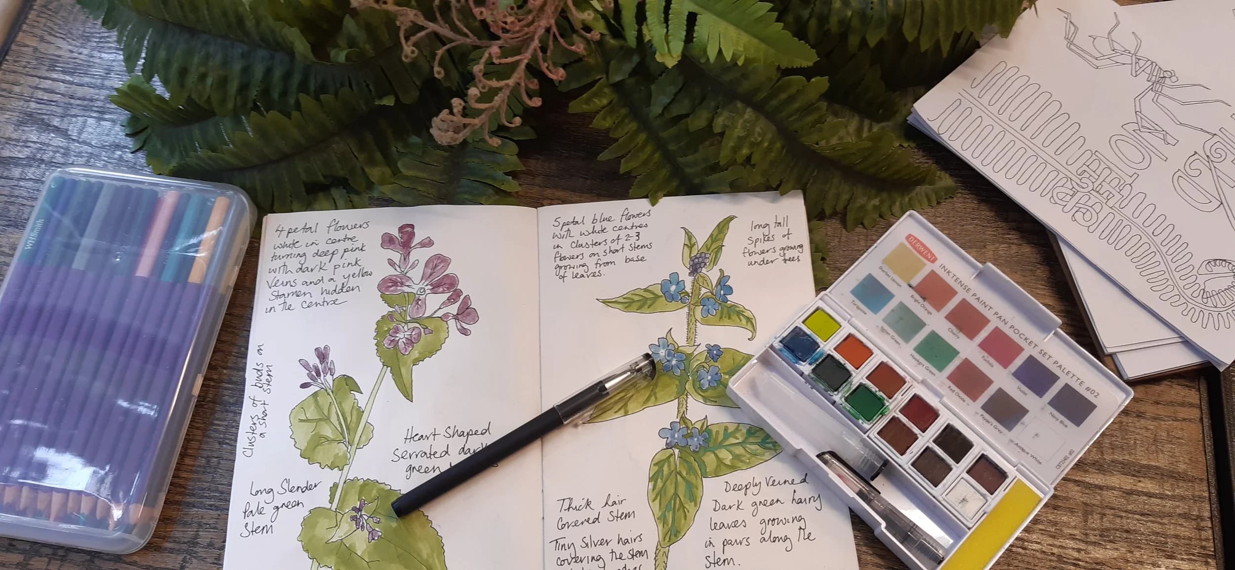 Nature Journal Workshop (U16)