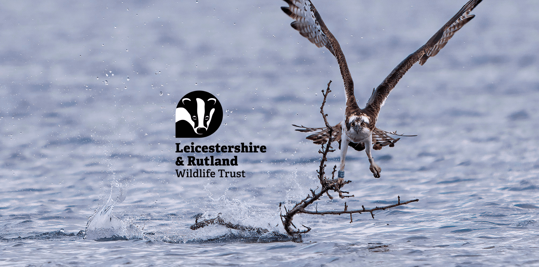 Easter Guided Osprey Walk at Lyndon Nature Reserve