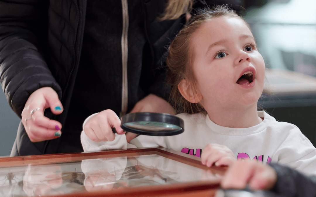 Biodiversity Discovery Day at Christchurch Mansion