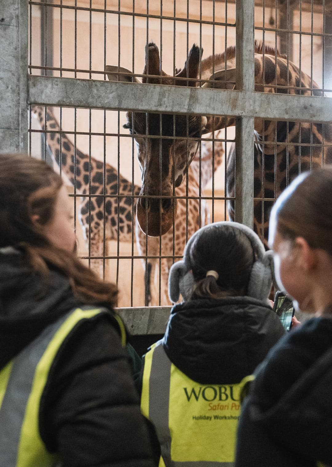 Safari Academy Workshop