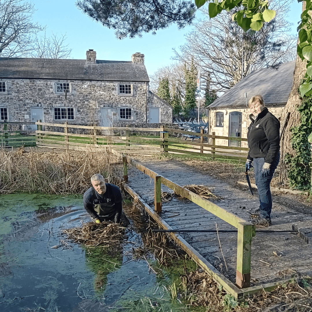 Countryside Activity | October half term